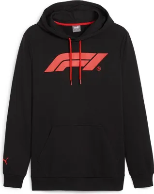 Produktbild von Puma F1 ESS LOGO HOODIE SCHWARZ L