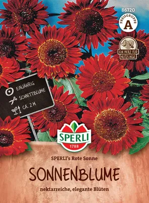 Produktbild von SPERLI Sonnenblumensamen Rote Sonne Helianthus annuus 30 Pflanzen