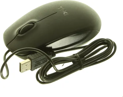 Immagine prodotto di Dell KIT,SW,PDVD,8.3,TT (93H7Y)