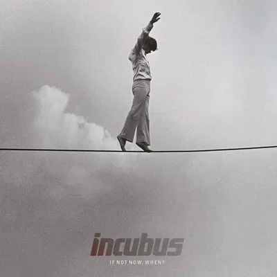 Produktbild von Incubus - If Not Now, When? (Reissue) (180 g) (2 LP)