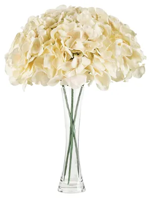 Künstliche Hortensien, 3 Stück, Seide, 16 cm, Champagner