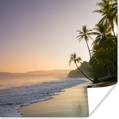 Produktbild von MuchoWow® Poster Strand - Meer - Palme 100x100 cm - Babyzimmer