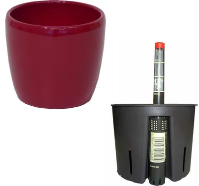 Produktbild von Set 3 teilig für Hydrokultur Keramik Blumentopf Venus weinrot Ø 16cm H 14 cm Kulturtopf 13/12 Wasserstandsanzeiger WA 12