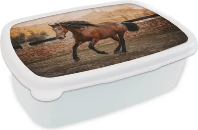 Produktbild von KitchenYeah® Lunchbox Brotzeit Brotdose 17x11 cm Pferd - Braun - Stein Kinder Brotzeitdose - Lunch Box - Kinder - Sandwich-Box - Schulbox - Lunch Boxen