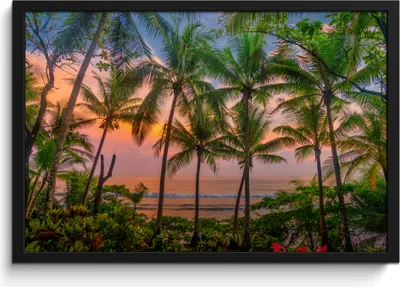 Produktbild von MuchoWow® MuchoWow® Gerahmtes Poster Palme - Tropisch - Meer 60x40 cm - Poster mit zchwarzem Bilderrahmen - Printing - Wanddeko Schlafzimmer