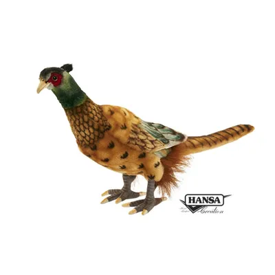 Produktbild von Hansa - 3846 - Fasan, 31cm, Plüsch, stehend