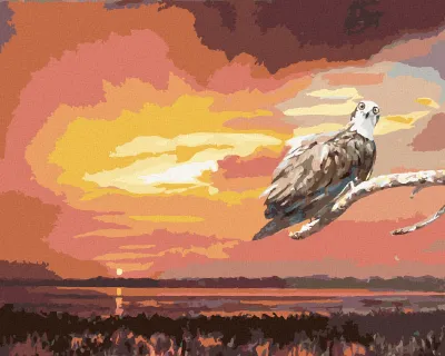 Produktbild von Zuty - Malen nach Zahlen - ADLER AUF EINEM AST UND SONNENUNTERGANG (D. RUSTY RUST), 40x50 cm, mit Keilrahmen (bereits gespannt)
