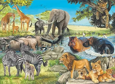 Produktbild von Tiere Afrikas, 300 Teile Puzzle