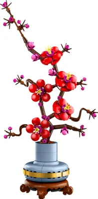 Produktbild von LEGO Botanicals Pflaumenblüte - Pflegeleicht - Kreatives