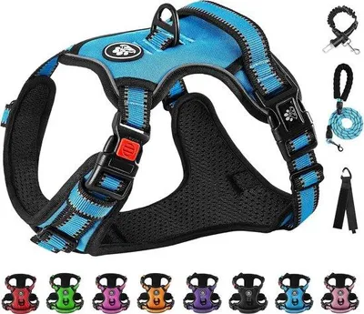 Produktbild von Famanu Hundegeschirr Blau - Größe S, Halsumfang 28-38 cm, Brustumfang 38-53 cm