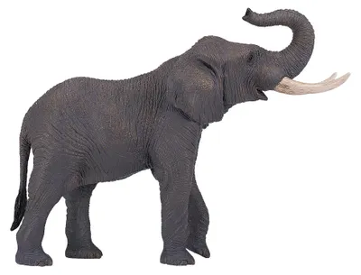 Obrázek produktu pro Mojo Fun African Elephant, 3 rok/roky, Wildlife, Šedá, Bílá, Polyvinylchlorid (PVC)