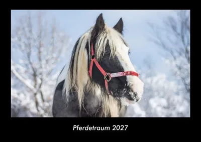 Produktbild von Pferdetraum 2027 Fotokalender DIN A3