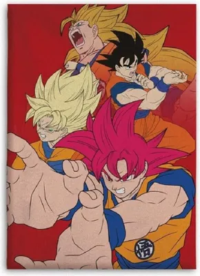 Produktbild von Dragon Ball Z - Son Goku und Son Gohan Fleecedecke aus Flanell - Rot