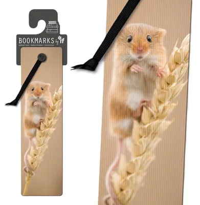Image de Signet 3D 15407 - Souris