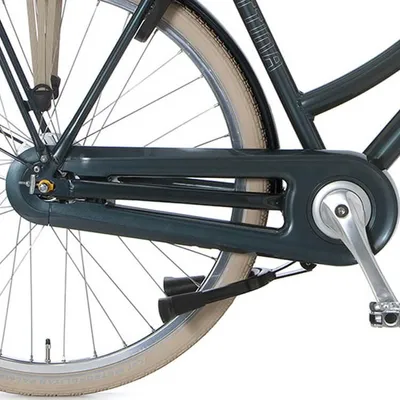 Produktbild von Cortina Chain Guard Twist Green