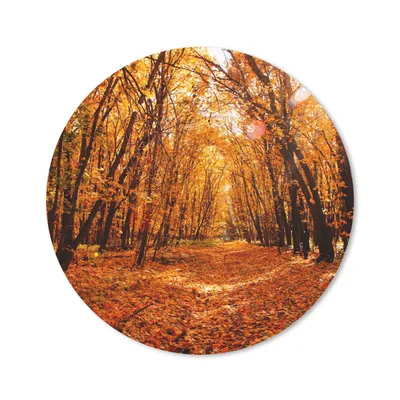 Produktbild von MuchoWow® Mauspad Mousepad Herbst - Wald - Laub - Jahreszeiten 50x50 cm - Mousepads - Maus Mat - Pad - Mausunterlage - Vinyl