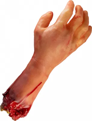 Produktbild von Abgetrennter blutiger Arm mit Knochenstumpf Rechts 31cm