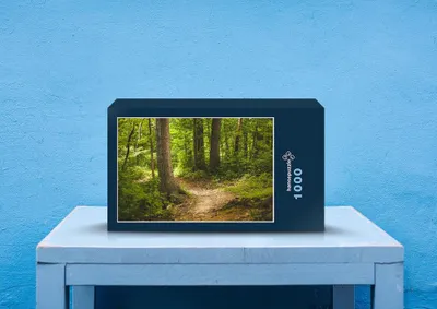 Produktbild von hansepuzzle 28807 - Wald-Wanderweg Puzzle, 1000 Teile, Natur, 60,0 x 46,0cm mit hochwertiger Aufbewahrung, Kartonbox und wiederverschließbarem Beutel