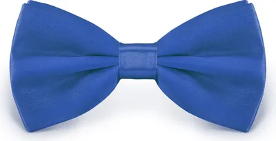 Produktbild von Fliege Blau Größe verstellbar aus Polyester einfarbig uni schmale 12 cm