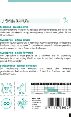 Produktbild von Schleierkraut Weiß | Blumensamen von Hortitops