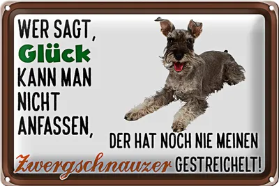 Produktbild von Blechschild Spruch 30x20cm Glück Zwergschnauzer gestreichelt