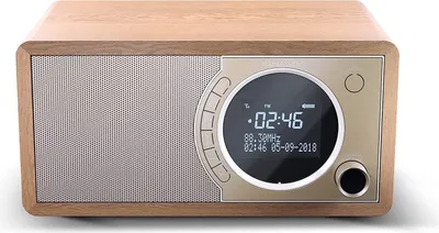 Zdjęcie produktu dla Sharp DR-450, Osobisty, Cyfrowy, DAB, DAB+, FM, 87,5 - 108 MHz, 174.928 - 239.2 MHz, 3 W