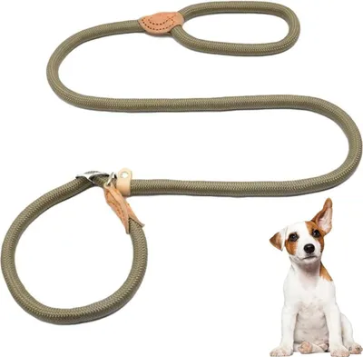 Produktbild von Hondentrainingsleine von 15 Metern - Verstellbare Nylonleine für Welpen und mittelgroße Hunde (Retriever-Leine) in Schwarz
