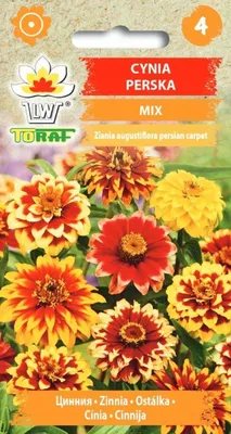 Zdjęcie produktu dla Cynia Perska mix Nasiona kwiatów - 469 Toraf