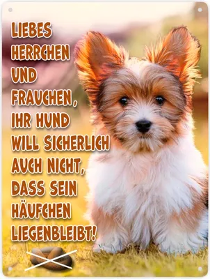 Produktbild von Bitte Hundehaufen nicht liegen lassen Metallschild XXL in 28x38 cm mit Spruch