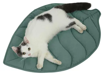 Image de Lit pour chat en forme de feuille, doux, dimensions 70 x 40 cm, pour chats d'intérieur
