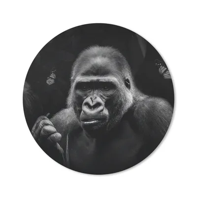 Produktbild von MuchoWow® Mauspad Mousepad Tiere - Affe - Gorilla - Schwarz - Weiß 20x20 cm - Mousepads - Maus Mat - Pad - Mausunterlage - Schreibtischmatte