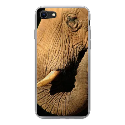 Produktbild von MuchoWow® Handyhülle Schutzhülle Hülle für iPhone SE 2020 Elefant - Tiere - Nahaufnahme - Schwarz Silikon Softcase Handy Hülle - Kartenbesitzer