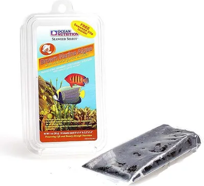 Produktbild von Ocean Nutrition Seetang Braunalgen 12g
