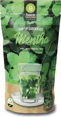 Produktbild von Pop-up Garden Minze | Anzuchtsets von Baza