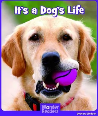 Produktbild von It's a Dog's Life