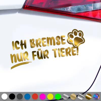 Produktbild von PantherPixel Bremsen Aufkleber Nur Für Tiere Tierrettung Tierschutz Sticker Auto Geschenkidee Farbe Chrom-Gold