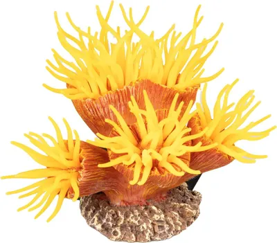 Produktbild von Aqua Della Plastikpflanze Euphyllia orange