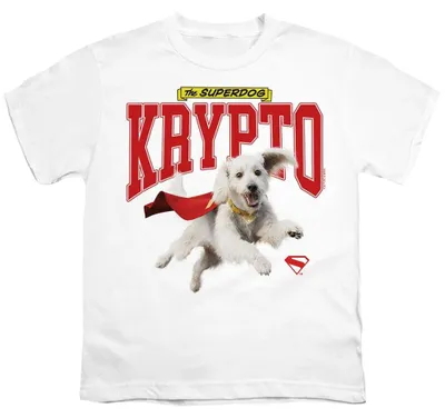 Produktbild von Superman - "2025" T-Shirt für Kinder, Logo TV36599 (152-158) (Weiß)
