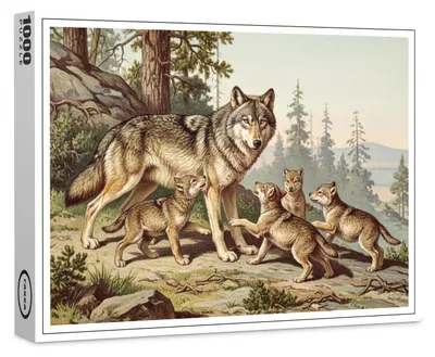 Image de Puzzle haut de gamme Raxxa « Loup et ses petits », 1 000 pièces