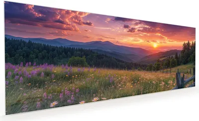 Produktbild von Küchenrückwand Spritzschutz Glas mit Motiv Sonnenuntergang Wiese 40 x 40 cm