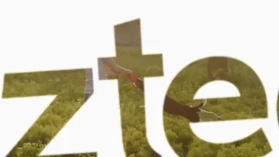 Immagine prodotto di Set collare+guinzaglio per cuccioli Beeztees Rina