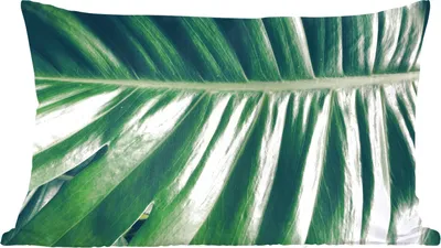 Produktbild von MuchoWow® Zierkissen Sofakissen Wohnzimmer Dekokissen 50x30 cm Blätter - Tropisch - Dschungel - Wohnzimmerdekoration - Polster mit Photo
