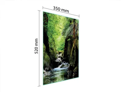 Produktbild von Glasschneidebrett 35x52 Forest