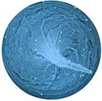 Immagine prodotto di Spro Trout Master Pro Paste 60g Aglio Blu Fluo