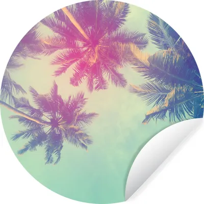 Produktbild von MuchoWow® Runde Wandtattoo - Wandsticker Tapete Aufkleber Palmen - Palmenblätter - Sommer - Tropisch Ø 50 cm Selbstklebend und Repositionierbar - Wandaufkleber - Kreis - Wand Kreis - Wand Bild - Foto Tapete - Selbstklebende - Wohnzimmerdekoration - Wand Dekoration - Kinderzimmer