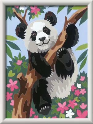 Produktbild von Süßer Pandabär Ravensburger 20161