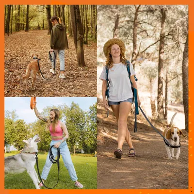 Productafbeelding van Famanu Hondenlijn, 10 meter, antislip en reflecterend – geschikt voor alle honden