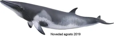 Produktbild von Collecta Speel Figur Zwerg Vinvis Gray 20 x 6 cm