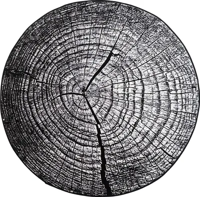 Produktbild von NOVO Strado moderner Baumstamm-Teppich für das Wohnzimmer, graues Muster, Grauer Stamm, 90 x 90 cm