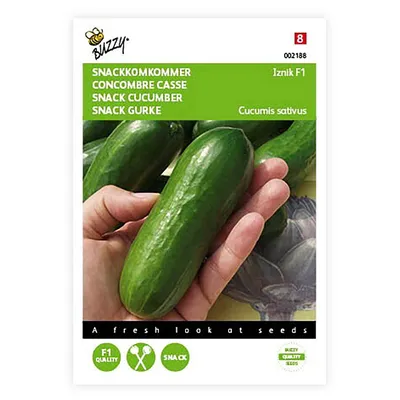 Produktbild von Snackgurke Iznik F1 | Minigurkensamen von Buzzy Seeds